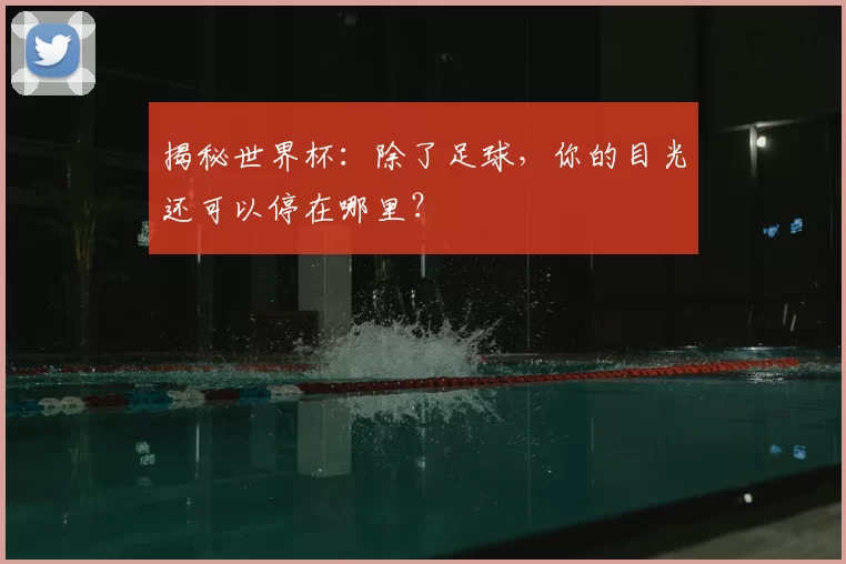 揭秘世界杯:除了足球,你的目光还可以停在哪里?