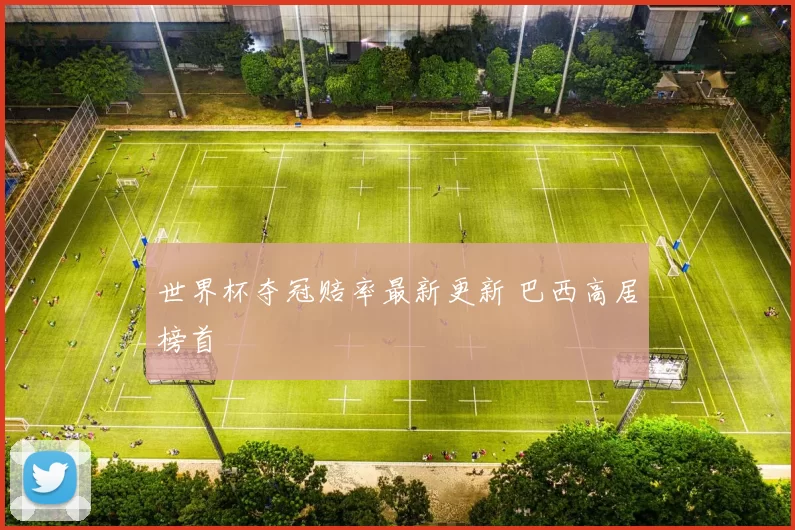 世界杯夺冠赔率最新更新 巴西高居榜首