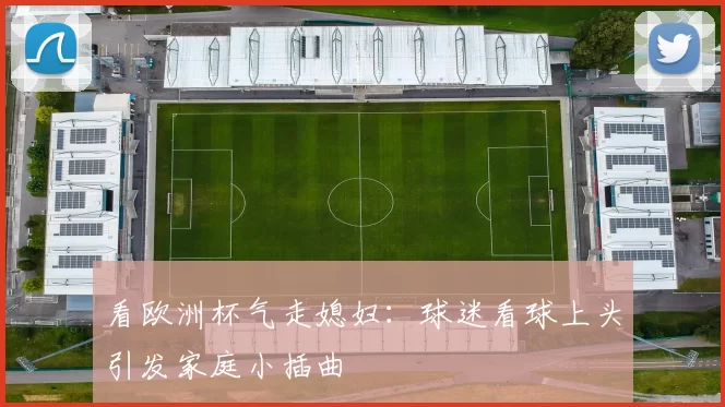 看欧洲杯气走媳妇：球迷看球上头引发家庭小插曲