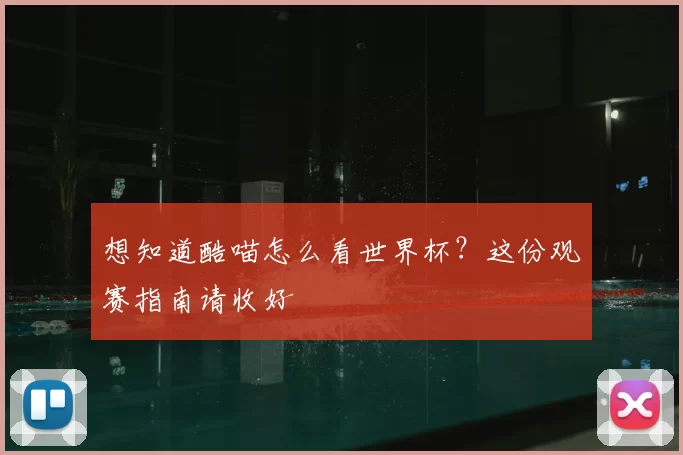想知道酷喵怎么看世界杯？这份观赛指南请收好