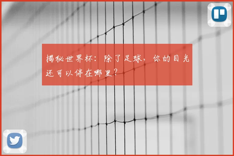 揭秘世界杯：除了足球，你的目光还可以停在哪里？