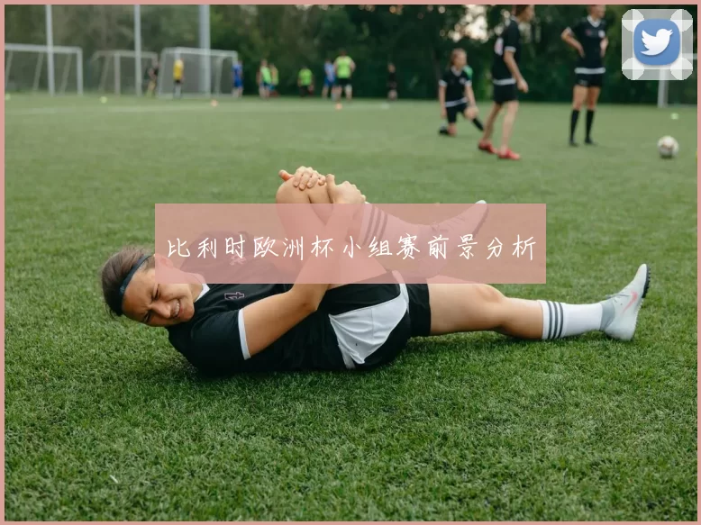 比利时欧洲杯小组赛前景分析