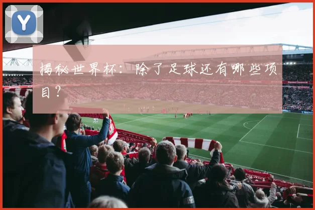 揭秘世界杯：除了足球还有哪些项目？