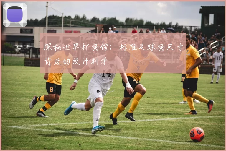 探秘世界杯场馆：标准足球场尺寸背后的设计科学