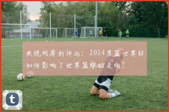 央视网犀利评论：2014男篮世界杯如何影响了世界篮球的走向？