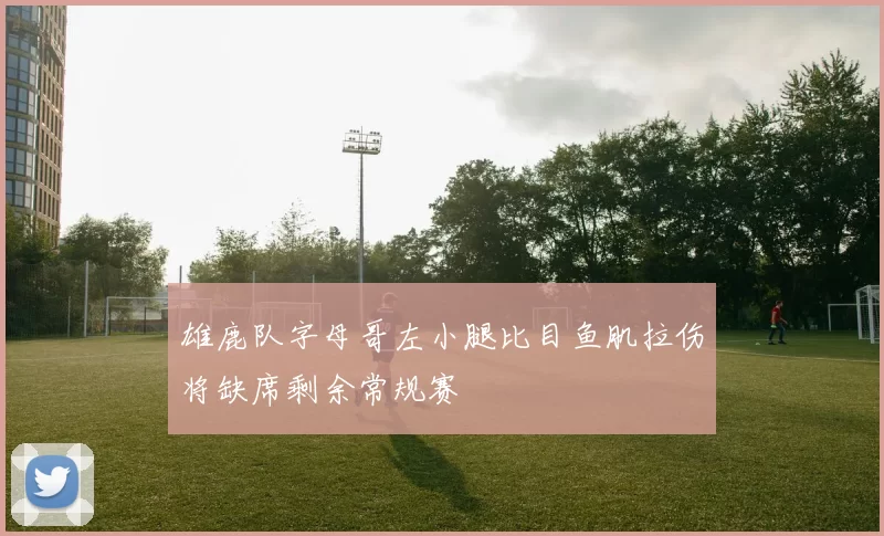 雄鹿队字母哥左小腿比目鱼肌拉伤将缺席剩余常规赛