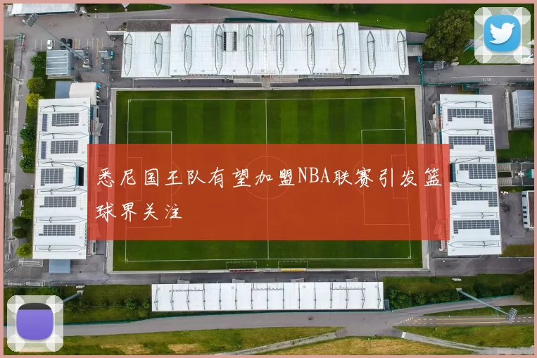 悉尼国王队有望加盟NBA联赛引发篮球界关注