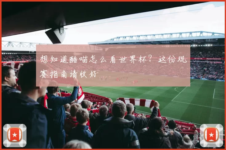 想知道酷喵怎么看世界杯？这份观赛指南请收好