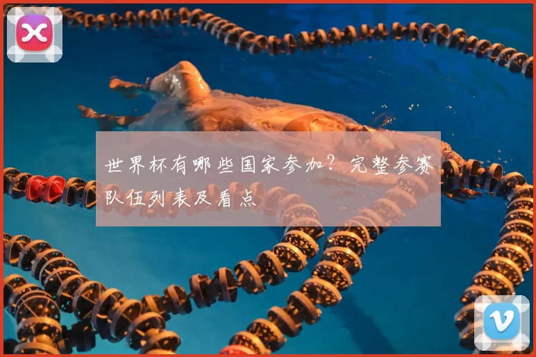 世界杯有哪些国家参加？完整参赛队伍列表及看点