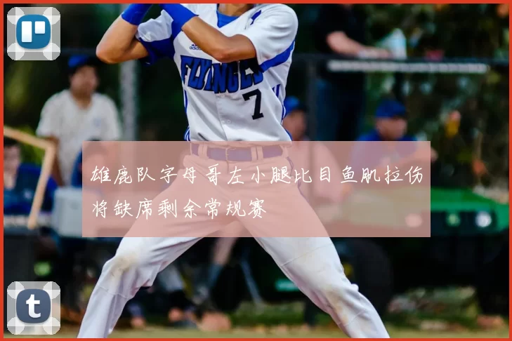 雄鹿队字母哥左小腿比目鱼肌拉伤将缺席剩余常规赛