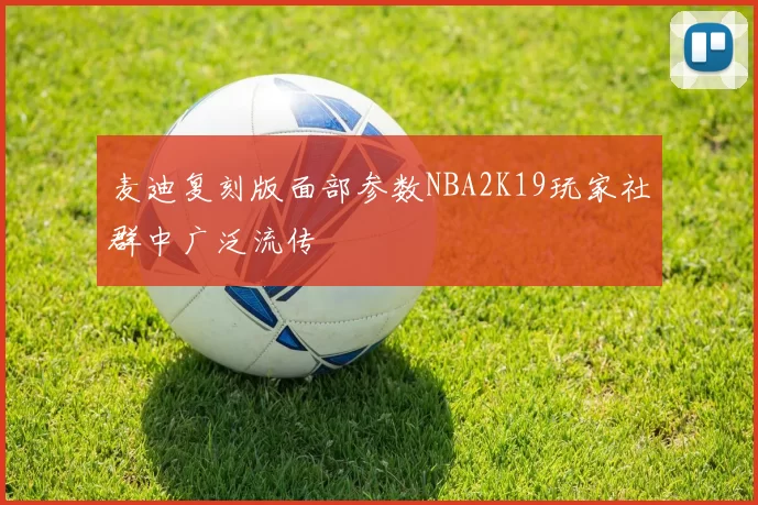 麦迪复刻版面部参数NBA2K19玩家社群中广泛流传