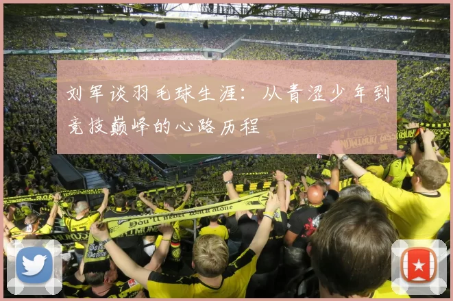 刘军谈羽毛球生涯：从青涩少年到竞技巅峰的心路历程