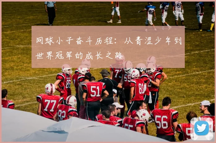 网球小子奋斗历程:从青涩少年到世界冠军的成长之路