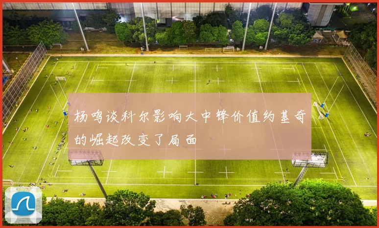 杨鸣谈科尔影响大中锋价值约基奇的崛起改变了局面