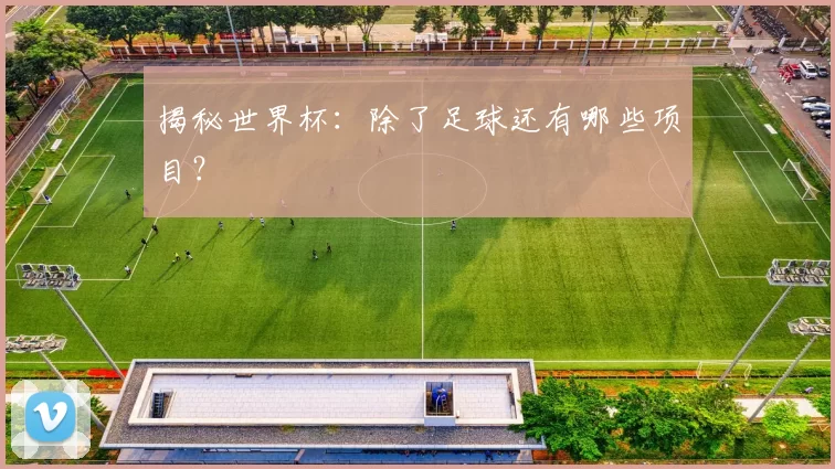 揭秘世界杯：除了足球还有哪些项目？