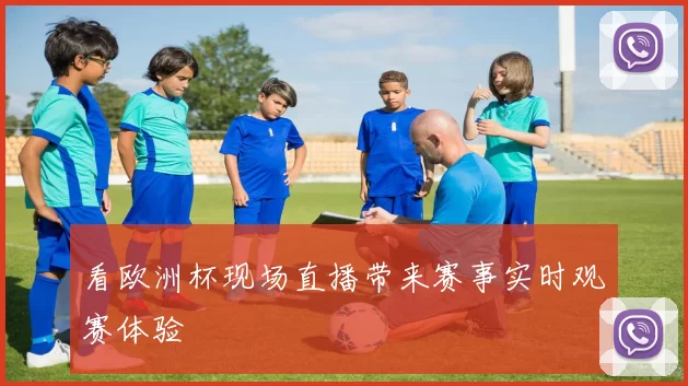 看欧洲杯现场直播带来赛事实时观赛体验